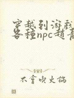穿越到游戏里和各种npc赵青蔓封面