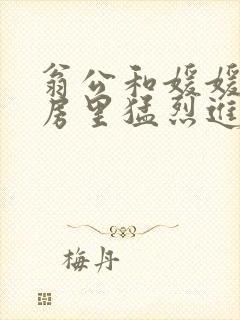 翁公和媛媛在厨房里猛烈进出封面
