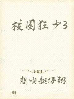 校园狂少3封面