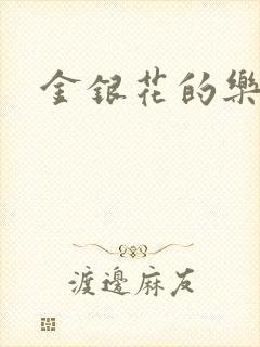 金银花的乐可封面