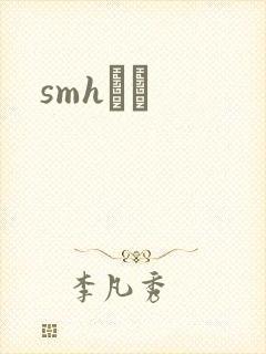 smhС˵封面