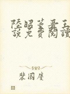 陆昭菱晋王的小说免费阅读封面