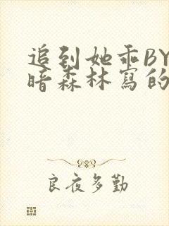 追到她乖BY黑暗森林写的小说封面