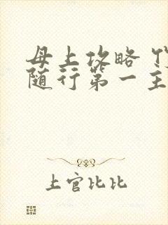 母上攻略 竹影随行第一主板