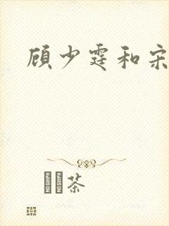 顾少霆和宋斯曼封面