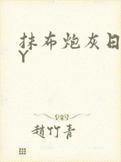 抹布炮灰日记BY