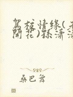 驾校情缘(老树开花)孙潇潇第一次趣笔阁