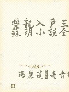 双龙入户三人行苏玥小说全文阅读