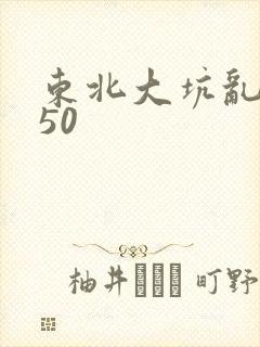 东北大坑乱1—50