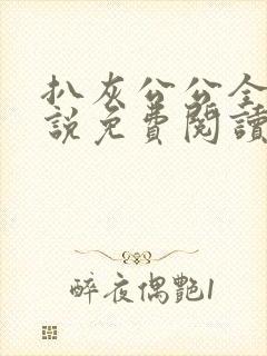 扒灰公公全部小说免费阅读全文封面