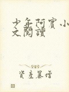 少年阿宾小说全文阅读