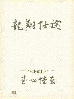 龙翔仕途封面