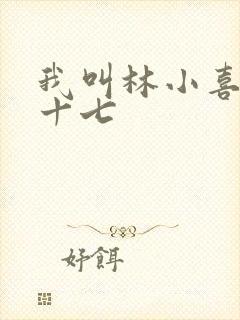 我叫林小喜今年十七