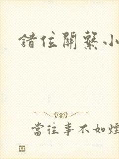 错位关系小说封面