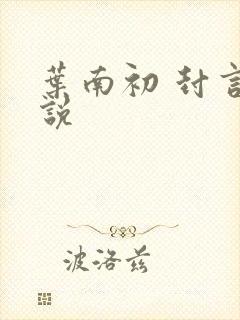 叶南初 封言小说