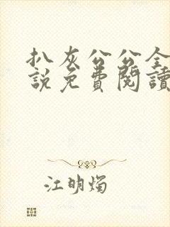 扒灰公公全部小说免费阅读全文封面