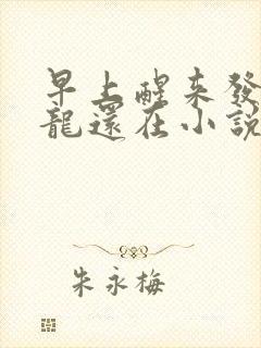 早上醒来发现巨龙还在小说封面