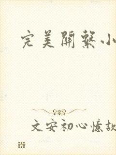 完美关系小说