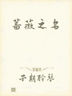 蔷薇之名