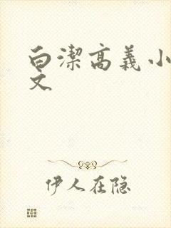 白洁高义小说全文