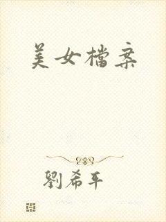 美女档案封面