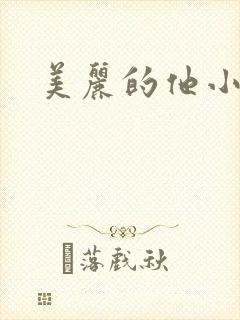 美丽的他小说