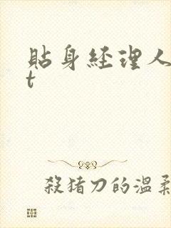 贴身经理人txt