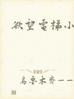 欲望电梯小说