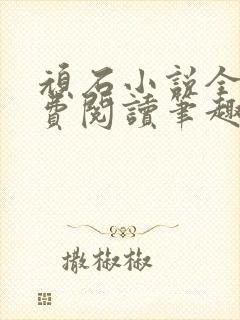 顽石小说全文免费阅读笔趣阁