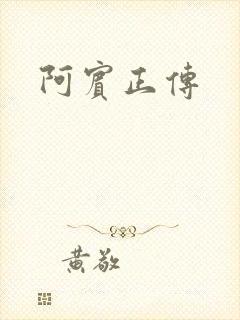 阿宾正传