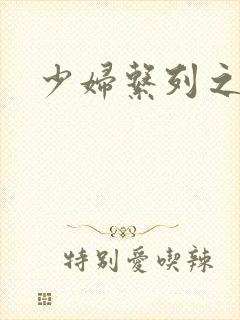 少妇系列之白洁封面