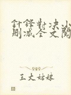 针锋对决小说未删减全文阅读封面