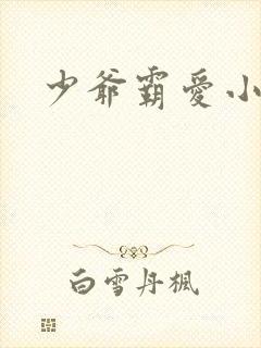 少爷霸爱小丫头