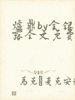 炉鼎by金银花露全文免费阅读笔趣阁