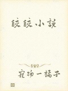 皎皎小说封面