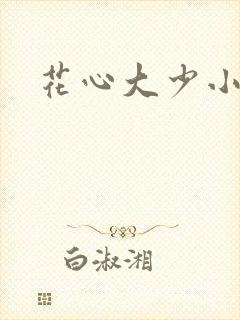 花心大少小说