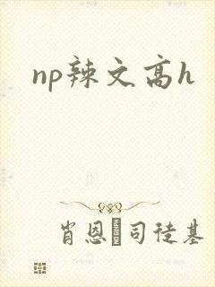 np辣文高h封面