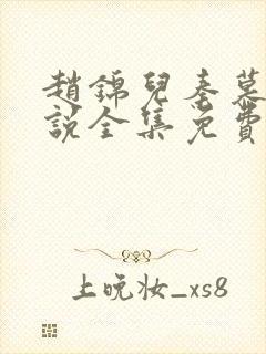 赵锦儿秦慕修小说全集免费封面