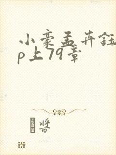小豪孟卉钰慧三p上79章