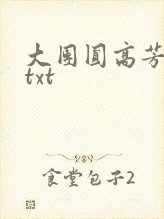 大团圆高芳小说txt封面
