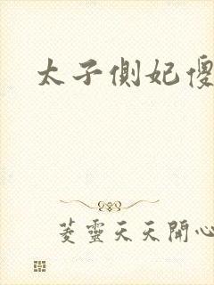 太子侧妃傻乎乎封面