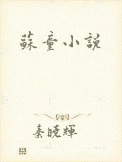 苏童小说