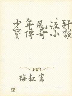 少年风流轩辕大宝传奇小说封面