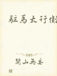 驻马太行侧