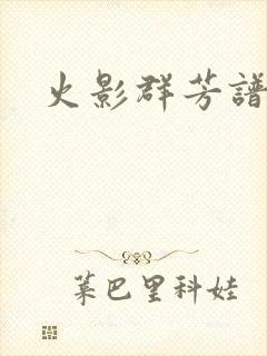 火影群芳谱
