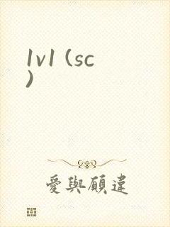 1v1 (sc)