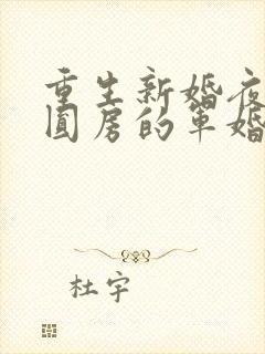 重生新婚夜正在圆房的军婚