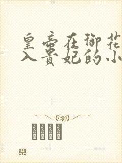 皇帝在御花园进入贵妃的小说封面