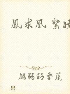 凤求凰 紫晓