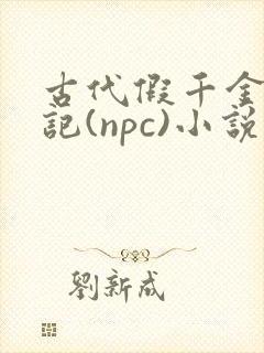 古代假千金挨日记(npc)小说封面